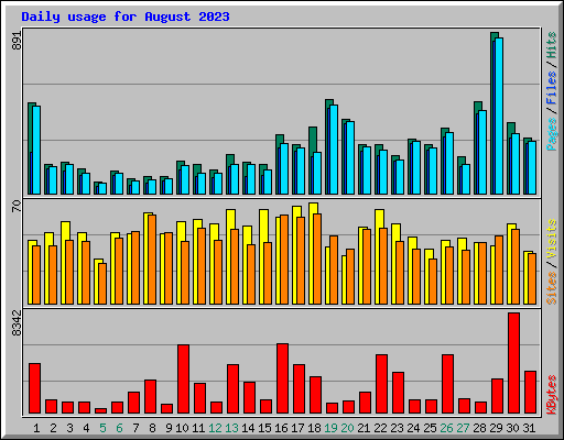 Daily usage for August 2023