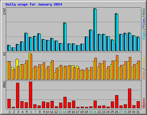 Daily usage for January 2024