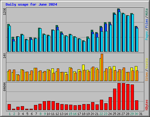 Daily usage for June 2024