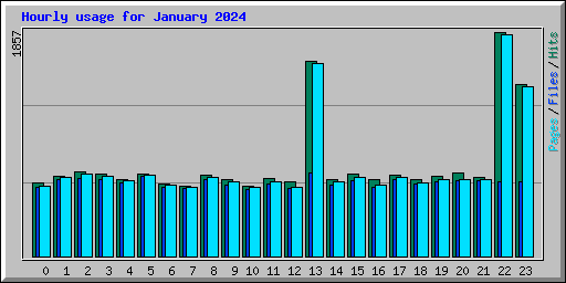 Hourly usage for January 2024