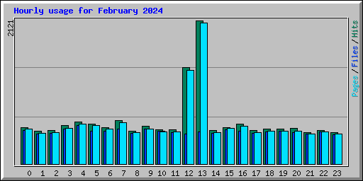 Hourly usage for February 2024