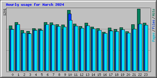 Hourly usage for March 2024