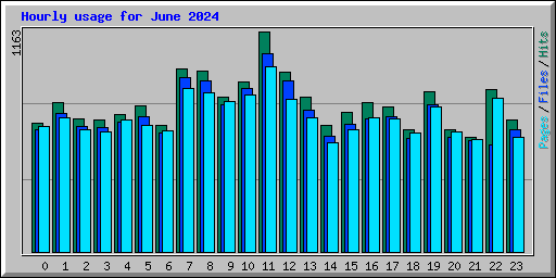 Hourly usage for June 2024