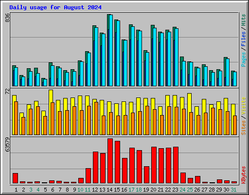 Daily usage for August 2024