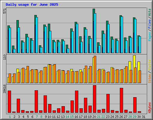 Daily usage for June 2025