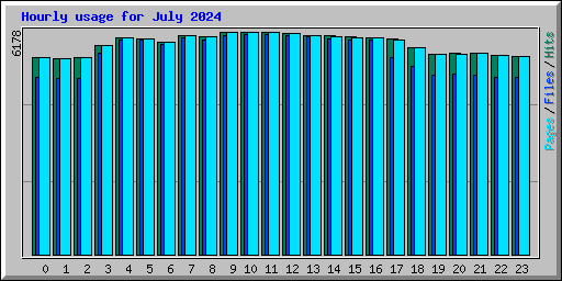 Hourly usage for July 2024