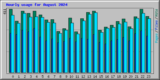 Hourly usage for August 2024