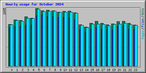 Hourly usage for October 2024