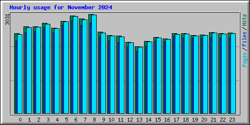 Hourly usage for November 2024