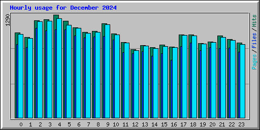 Hourly usage for December 2024