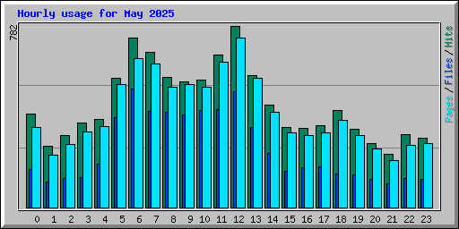 Hourly usage for May 2025