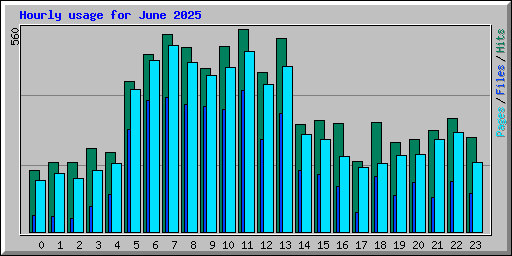 Hourly usage for June 2025