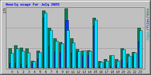 Hourly usage for July 2025