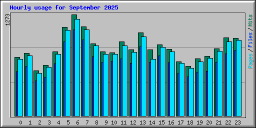 Hourly usage for September 2025