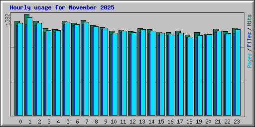 Hourly usage for November 2025
