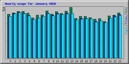 Hourly usage for January 2026