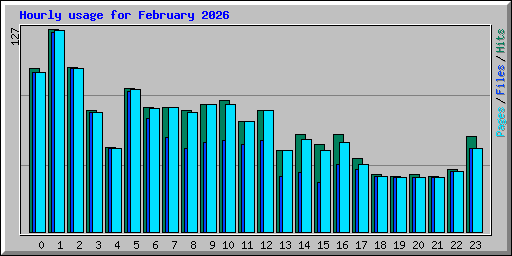Hourly usage for February 2026